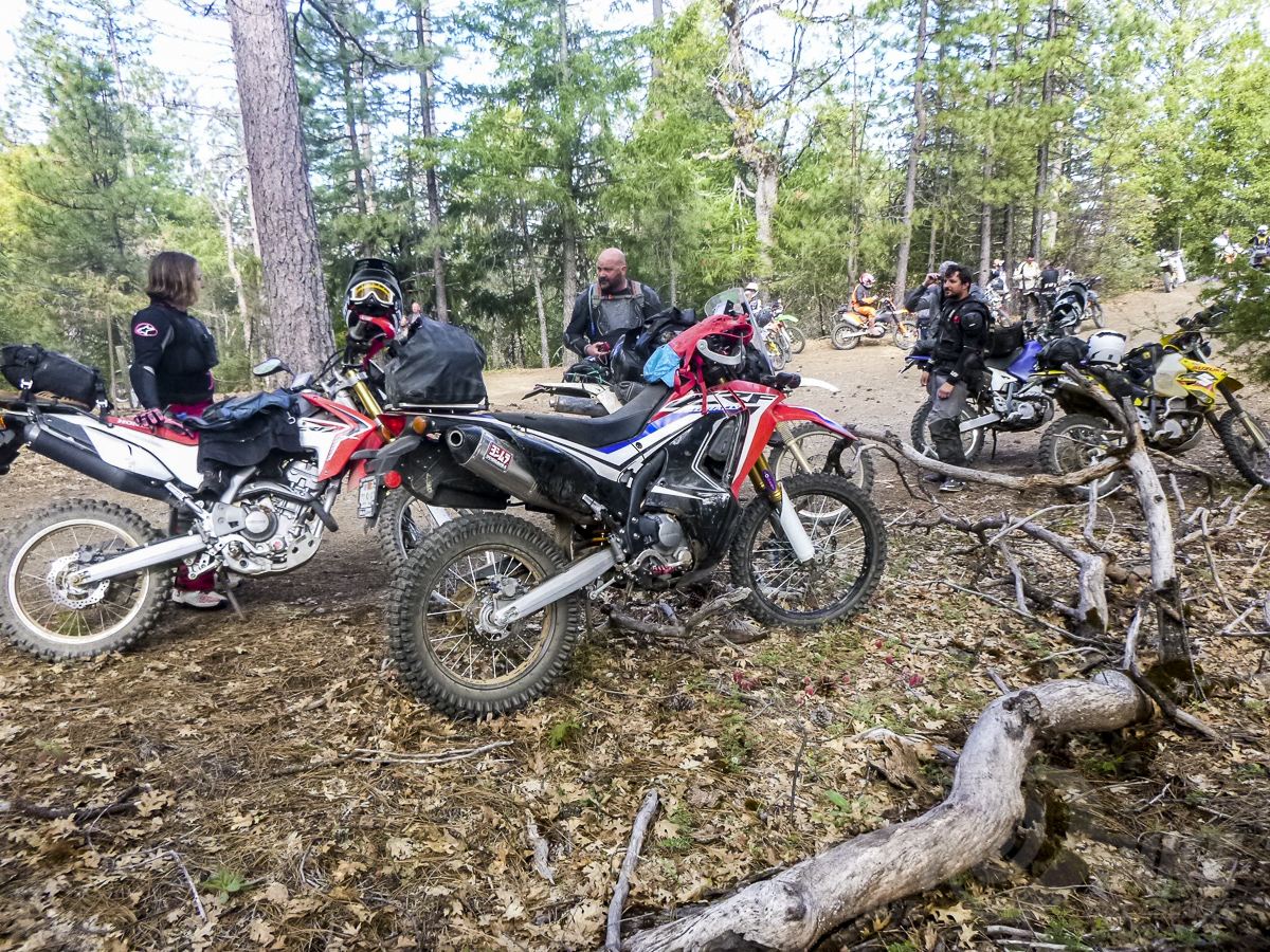 Prepping Hondas CRF250L Rally For True Adventure Part 2 CityBike