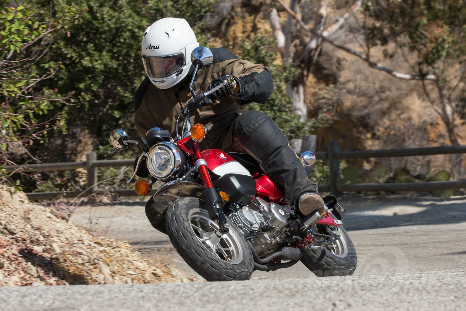 Catalina Moto Mixer Honda Monkey First Ride CityBike Magazine